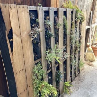 Vertical Pallet Garden 1