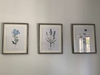 Paintings - Set of 3 1