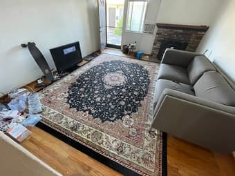 Black and Ivory Traditional Oriental Rug  (9'x12') 1