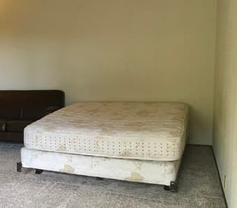 Queen-sized metal frame, box spring, mattress 1