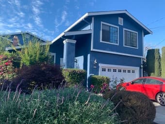 Bright Sunny Room for Rent in Redwood City 1