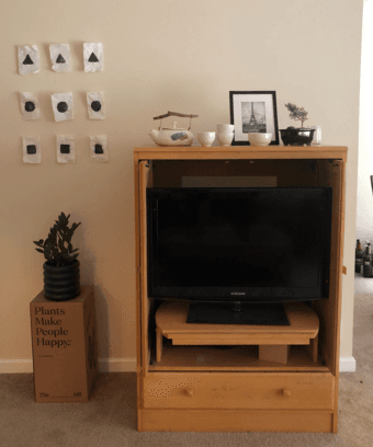 FREE Solid Wood TV Cabinet 2