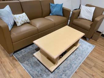 Living room decor set - 4' x 6' rug & throw pillows (GREAT CONDITION) 1