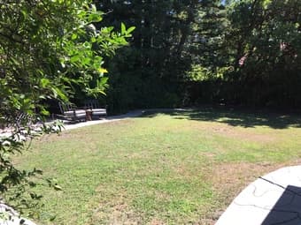 Private room in 4 Bedroom Palo Alto/Mountain View Available Sept 1 3