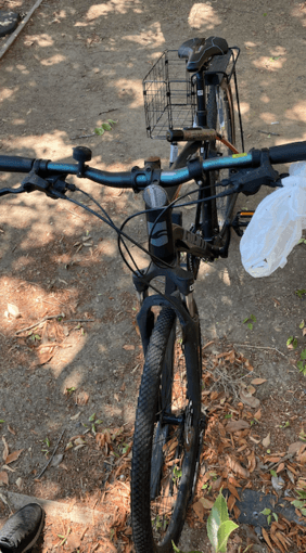 Bike - Giant 24 1