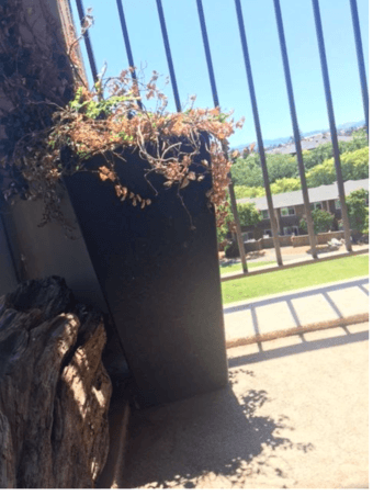 Plant Urn 1