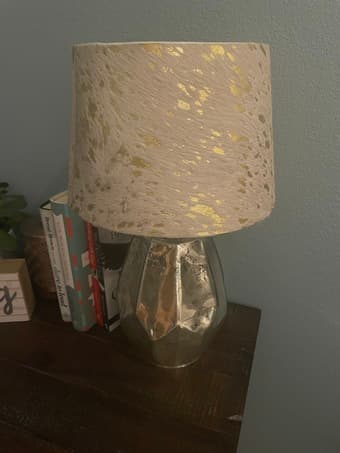 World Market Lamp 2
