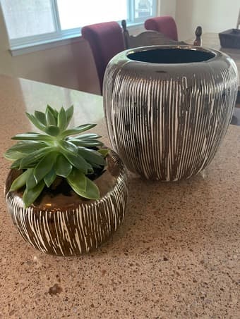 Anthropology Pots (set of 2) 1