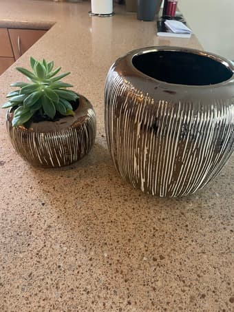 Anthropology Pots (set of 2) 2