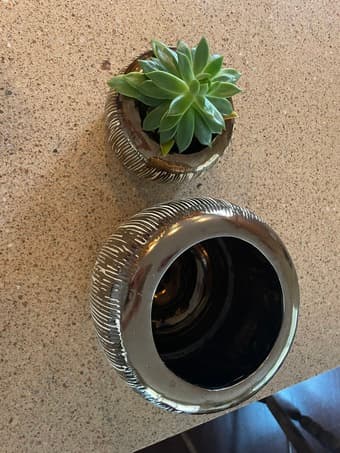 Anthropology Pots (set of 2) 3