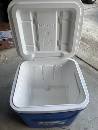 Igloo Cooler 1