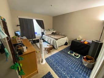 master bedroom in 2 bed 2 bath in sunnyvale 3