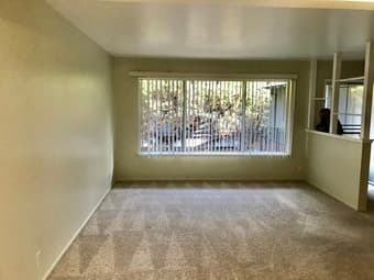Room Available in Palo Alto 2 bedroom Apartment 1