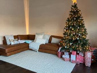 Carpet West Elm wool white high end 1
