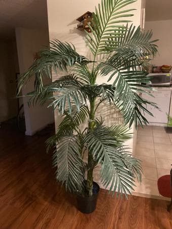 Artificial palm tree about 5.8 feet tall 1