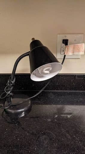 Lamp 1