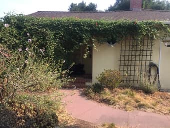 Sunny furnished bedroom available mid-Sep in Covid-savvy Menlo Park 1