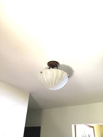 Minka Lavery 5-Light Chandelier and Ceiling Light Fixtures 3