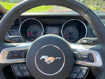 Pristine 2015 Mustang Convertible with <11,500 miles 3