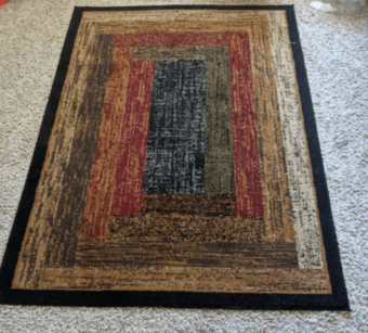 Rug in excellent condition $30 1