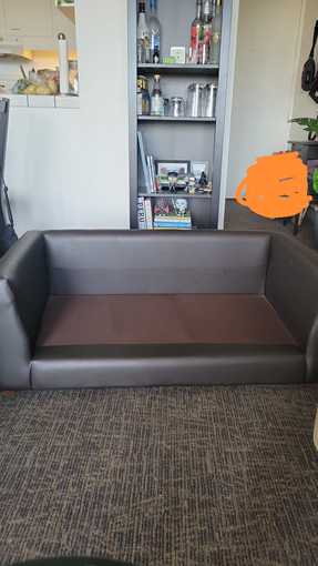 Large Dog Sofa 2