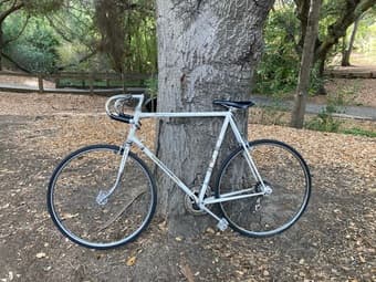 Vintage bike for 6'+ for sale! 1