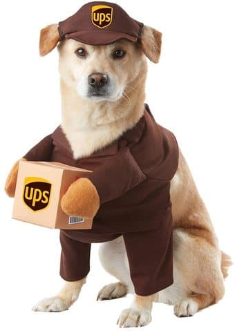 Halloween costumes - for pet, adult, and kid 1