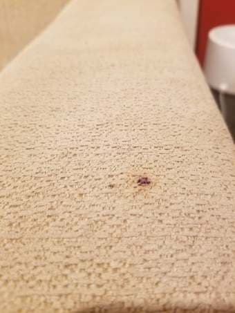 Oakland: Comfy couch and armchair for sale 3