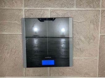 Body scale 1