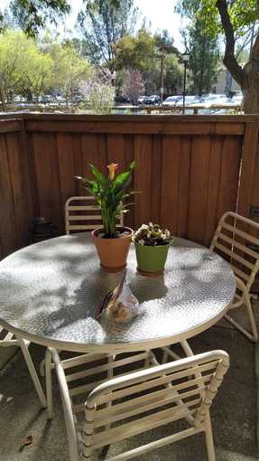 Patio Set - Perfect for EV 1