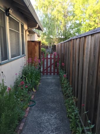 Sunny room in a beautiful Palo Alto house! [women only, please!] 2
