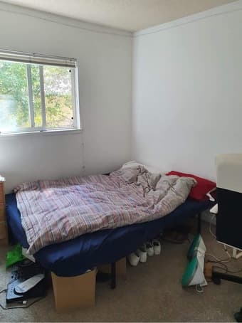 Furnished room in Palo Alto available beginning January - $1,000 3