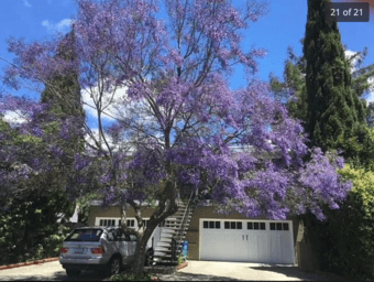 Amazing 1bed/1bath in Redwood City with private backyard, parking 1