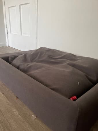 Needle and Tuff Dog Bed (150$ dog bed value) - small to medium 1