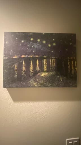Van Gough picture 1