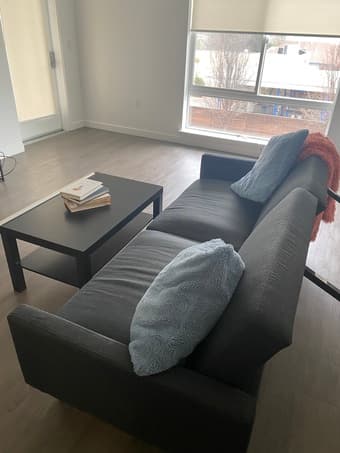 Couch and coffee table 1