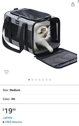 Cat Supplies! 2