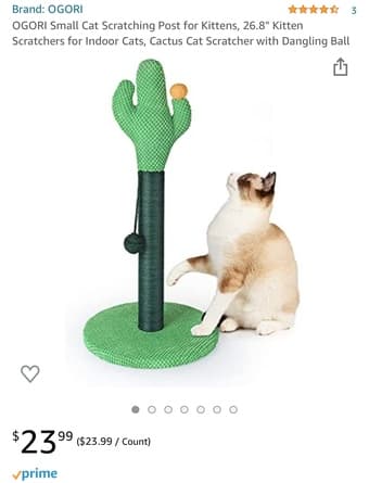 Cat Supplies! 3