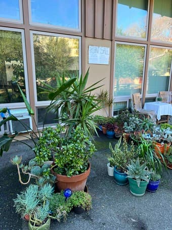 Massive Plant Sale 1