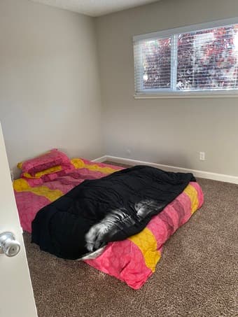 Looking for right tenant to share 2br/2ba apartment at Mountain View 2