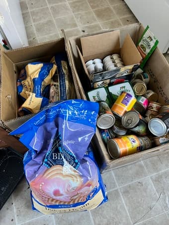 Cat food and litter 1