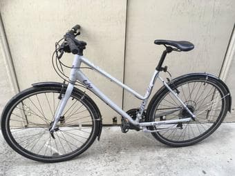 Large hybrid bike 1