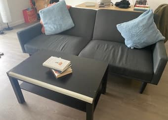 Move out Sale - Couch + Pillows + Coffee table 2