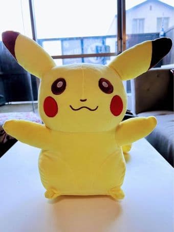 Pokemon Plush Toys 1
