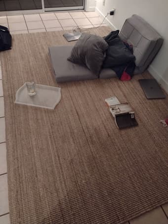 Large Sisal Rug 1
