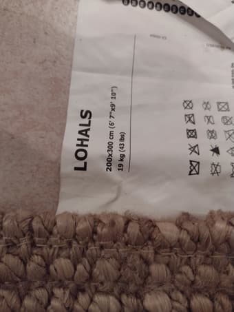 Large Sisal Rug 2