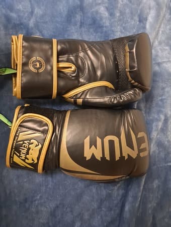 Venum 16 oz Boxing Gloves 1