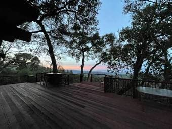 Forest, panoramic views, Silicon Valley 1