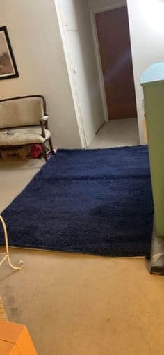 6 ft x 8 ft Blue Shag Area Rug 2