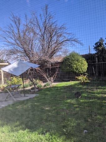 Large room available in a 3500 square feet house-10mins from campus 1